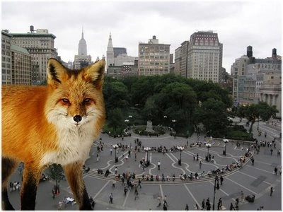 Giant Fox in Union Square