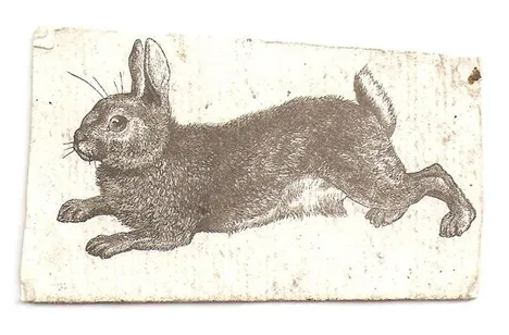 Chasing the Rabbit